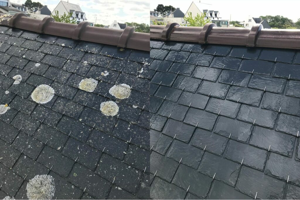 démoussage de toiture